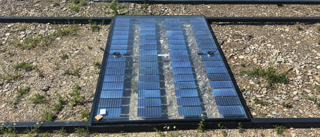 Solar glazing and bespoke steelwork for the Derbyshire greenhouse project